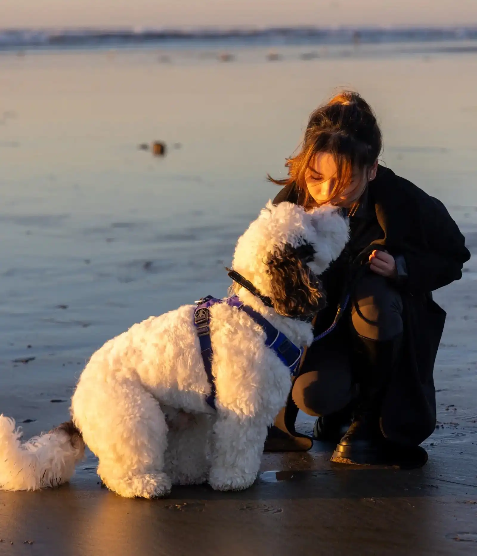 A girl and a dog posing for a picture on the beach